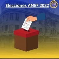 Elecciones Anef. ¿Cómo Votar?