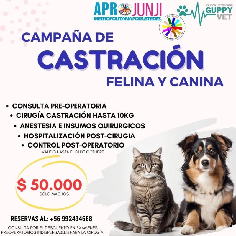 Convenio Guppy Vet Campaña Castración Felina y Canina